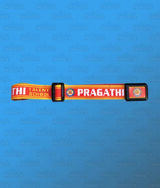 Multicolour Belt